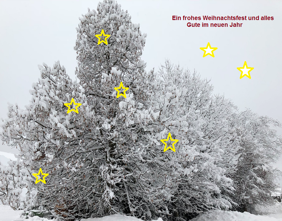 Weihnachtsgrüße